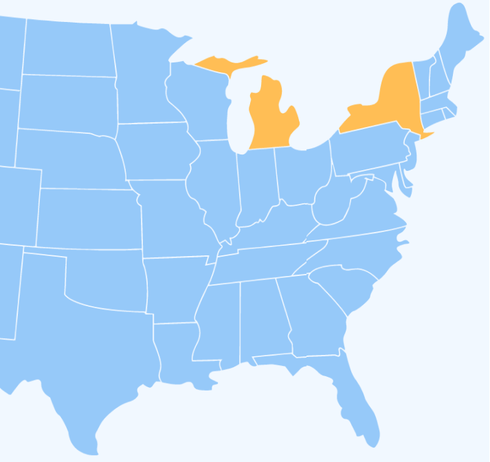 Free Delivery to Michigan & New York
