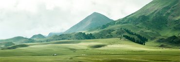 green field thanks to an environmentally friendly industry